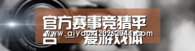 公司动态